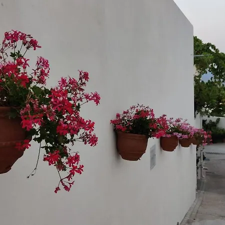 Alojamiento Rural Los Perez Lucainena De Las Torres Exterior photo